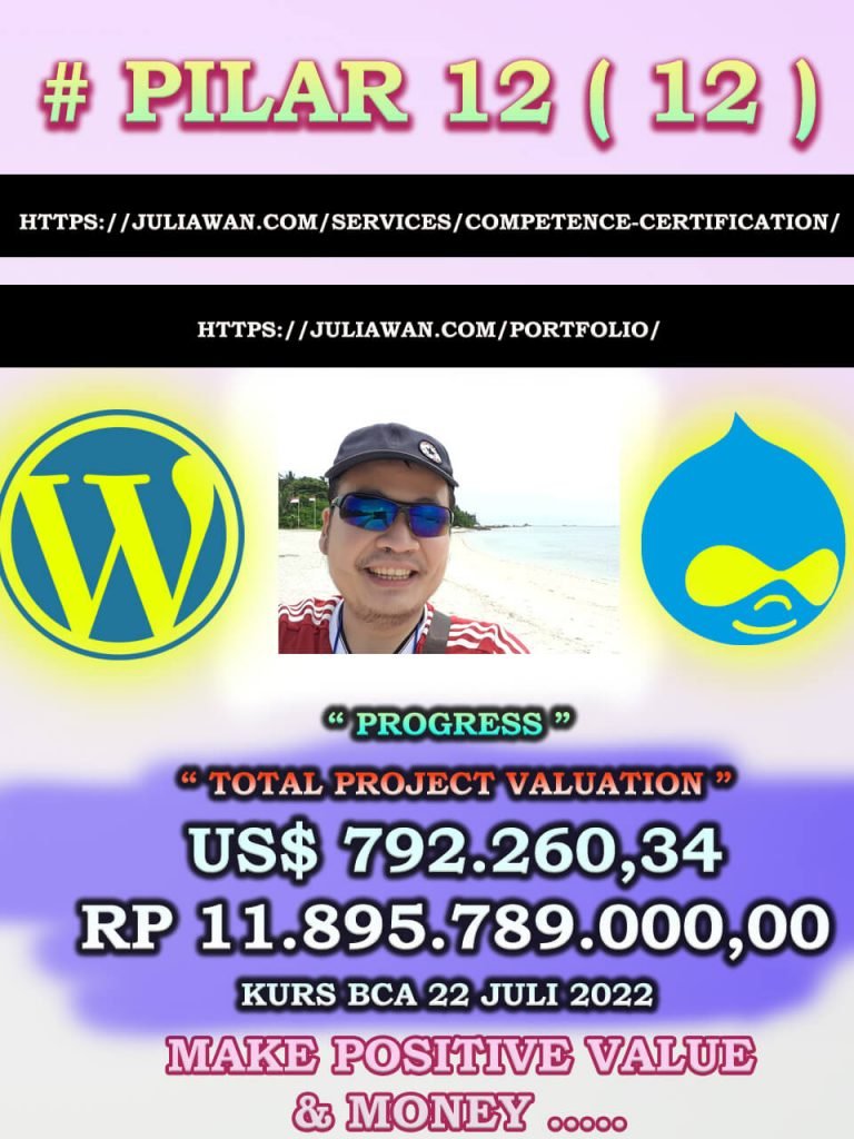 Certification Pilar Professional Internet Marketing Juliawan Chandra Wijaya